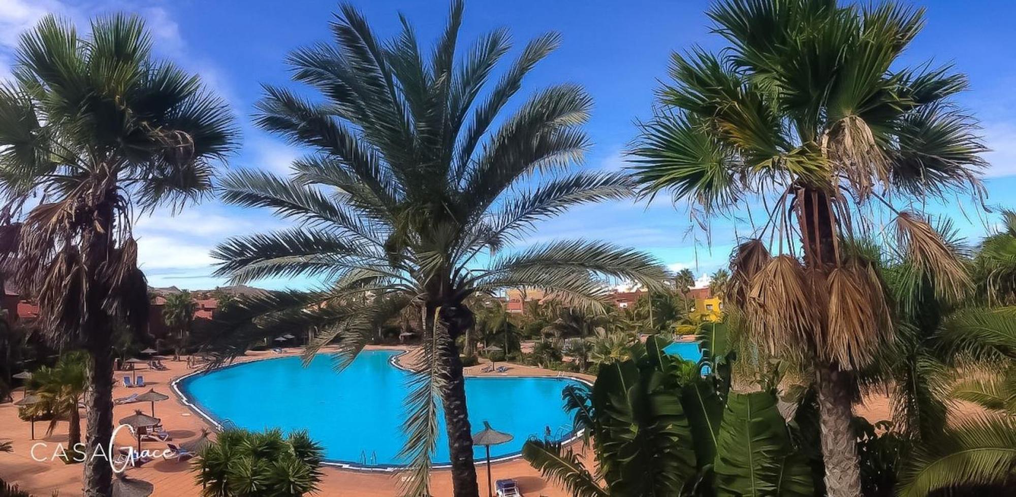 Appartement Tamarindo 1 Casa Grace Wifi Free Pool View By Rentalfue