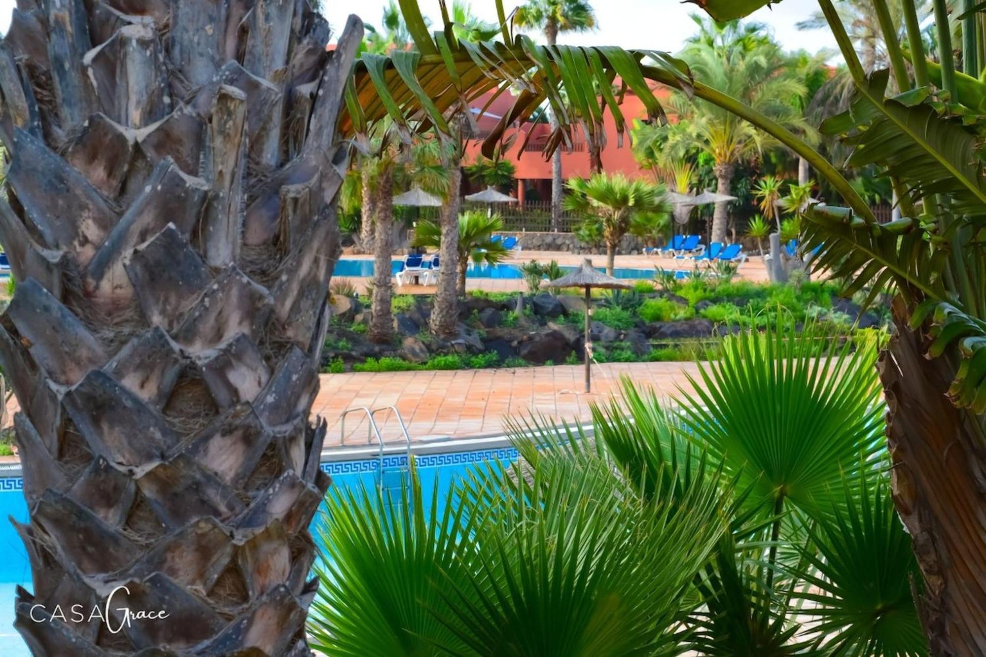 Appartement Tamarindo 1 Casa Grace Wifi Free Pool View By Rentalfue
